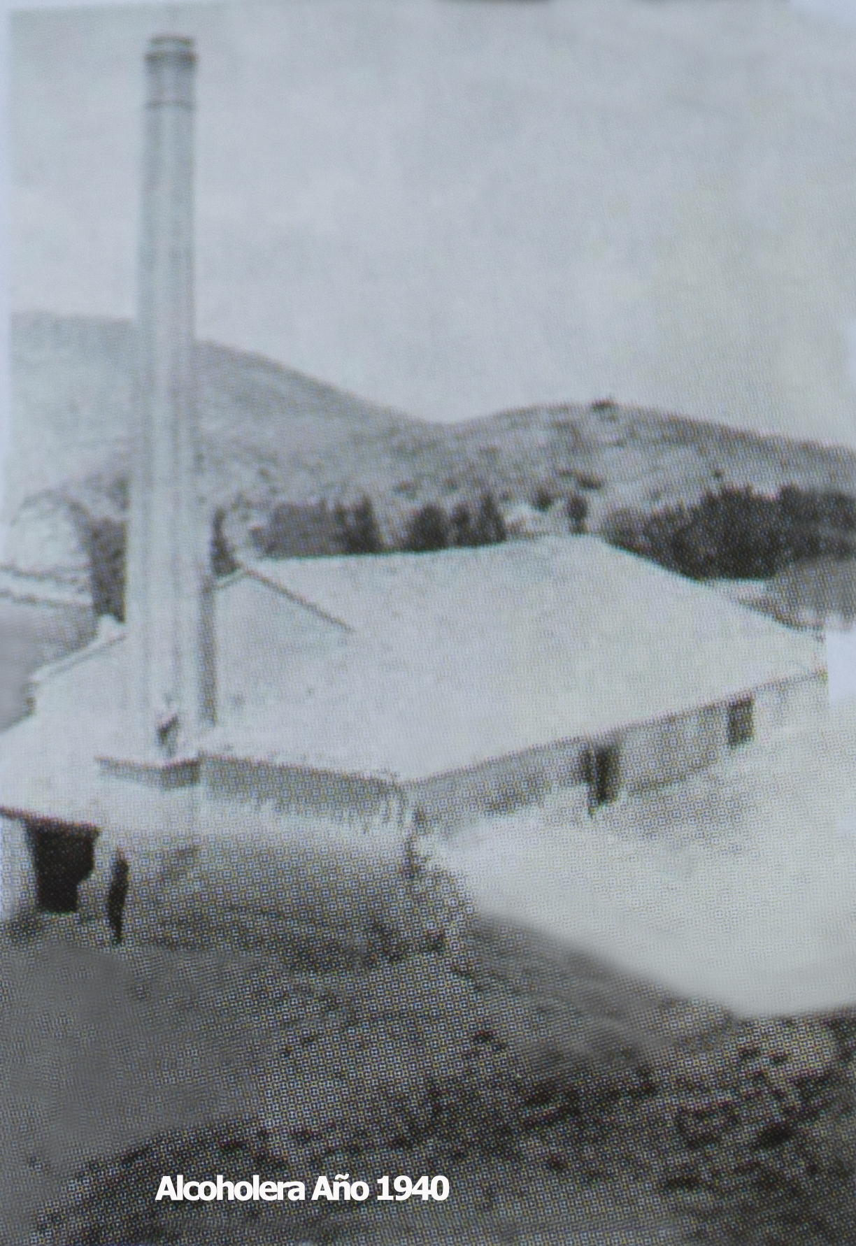 Alcoholera La Cañada